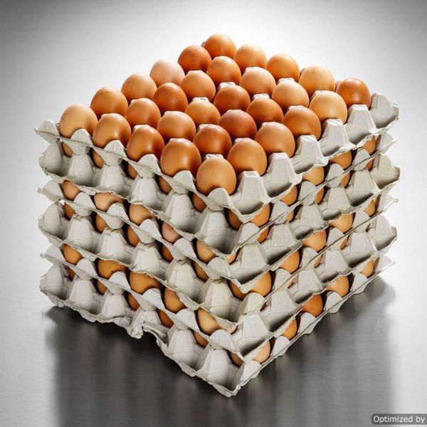 Chapel Farm British Large Eggs 15 dozen spotonwholesalefoods.co.uk